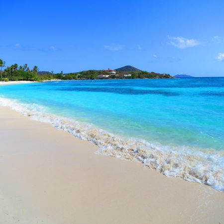 2Br Luxury Beachfront Duplex Villa On Sapphire Beach III East End  Exterior photo