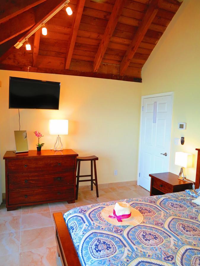 2Br Luxury Beachfront Duplex Villa On Sapphire Beach III East End  Exterior photo